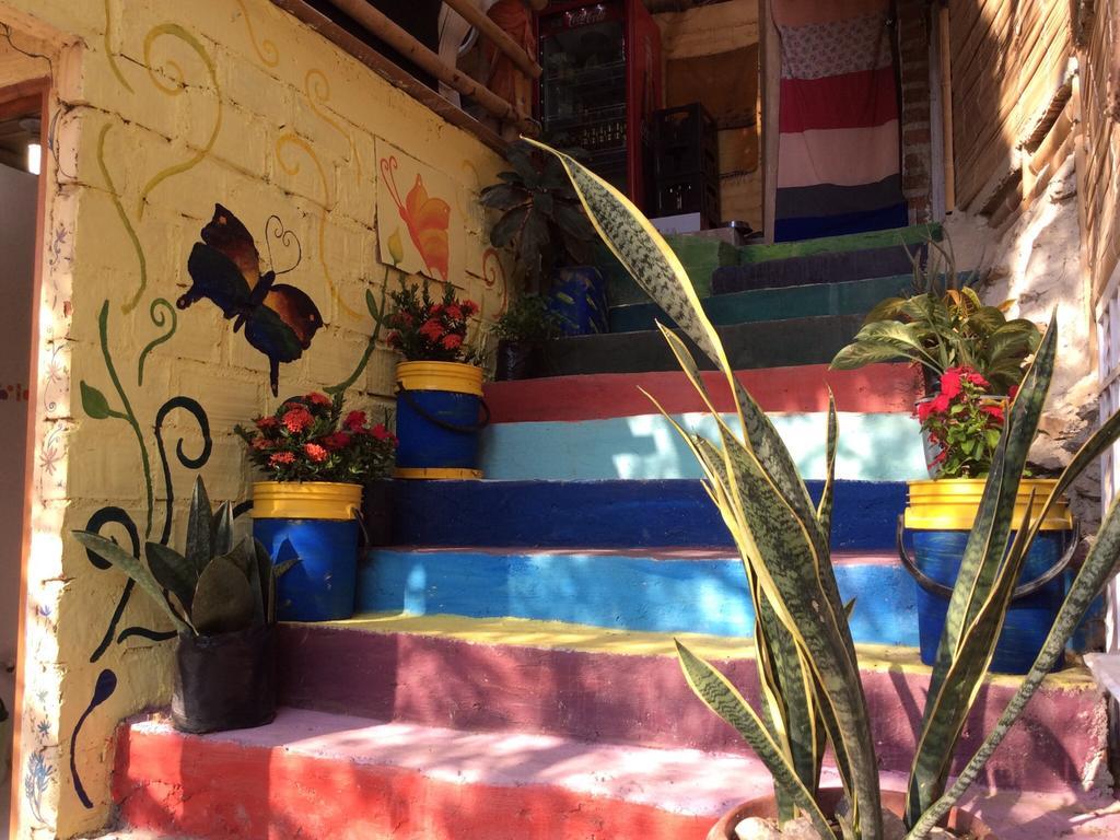 Hostal Casa Horizonte 타강가 외부 사진