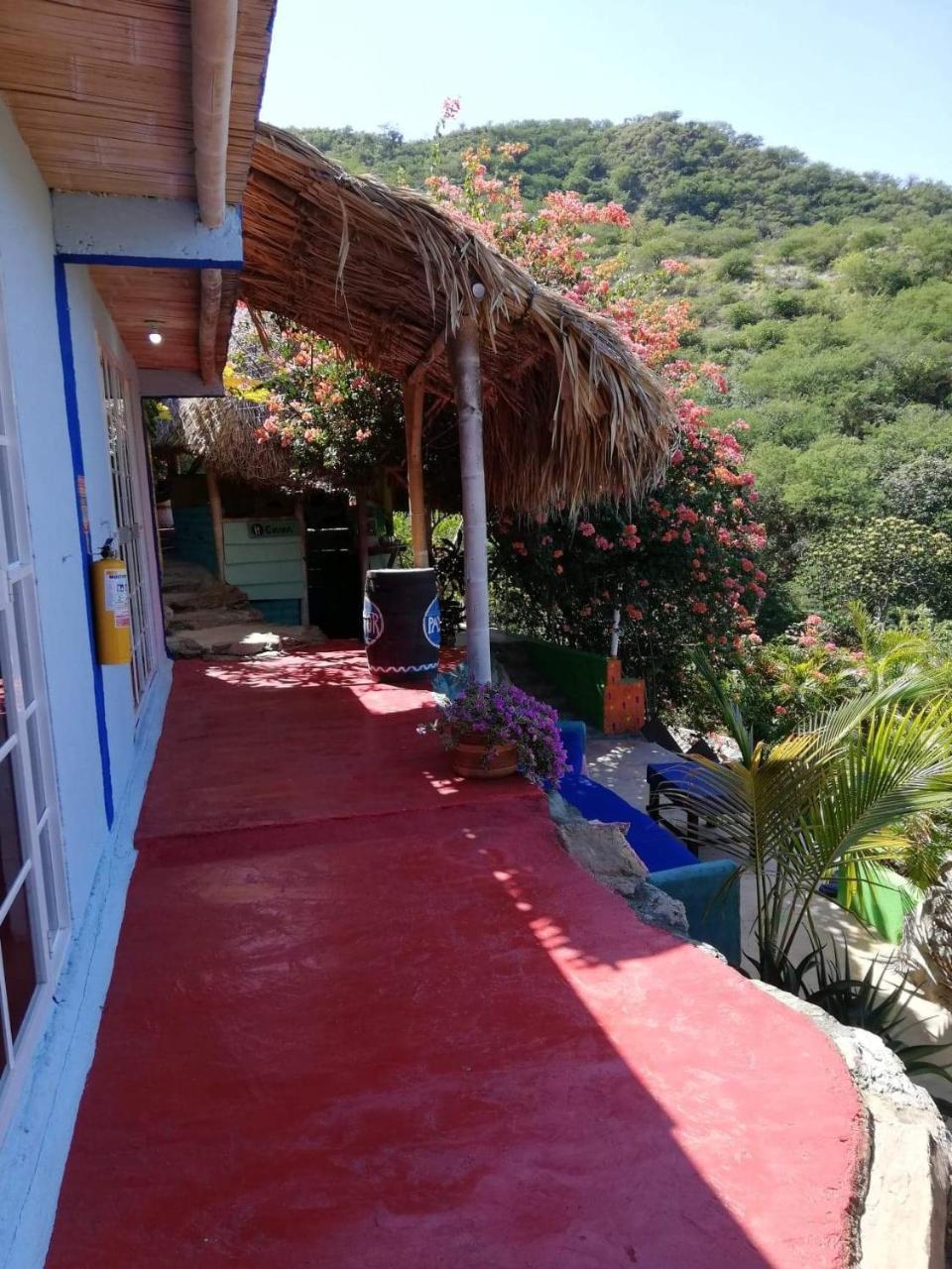 Hostal Casa Horizonte 타강가 외부 사진