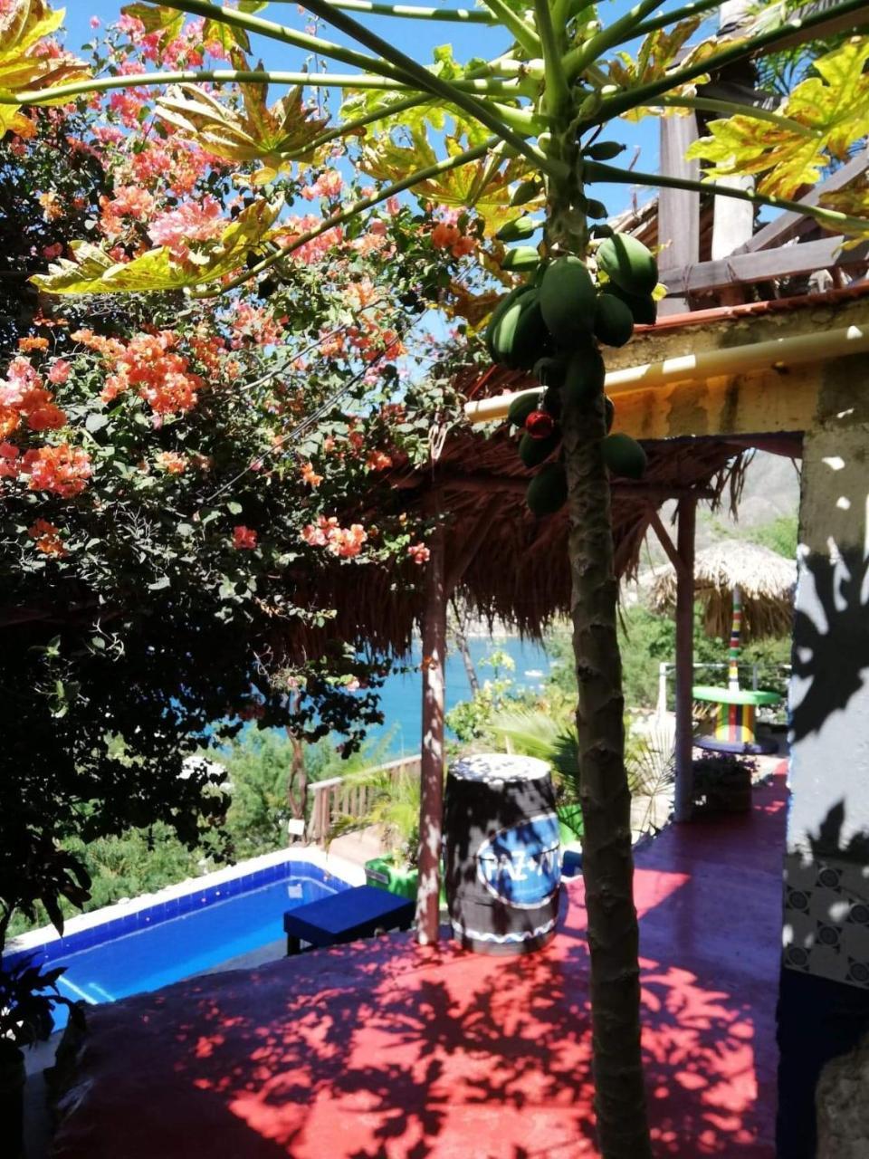 Hostal Casa Horizonte 타강가 외부 사진